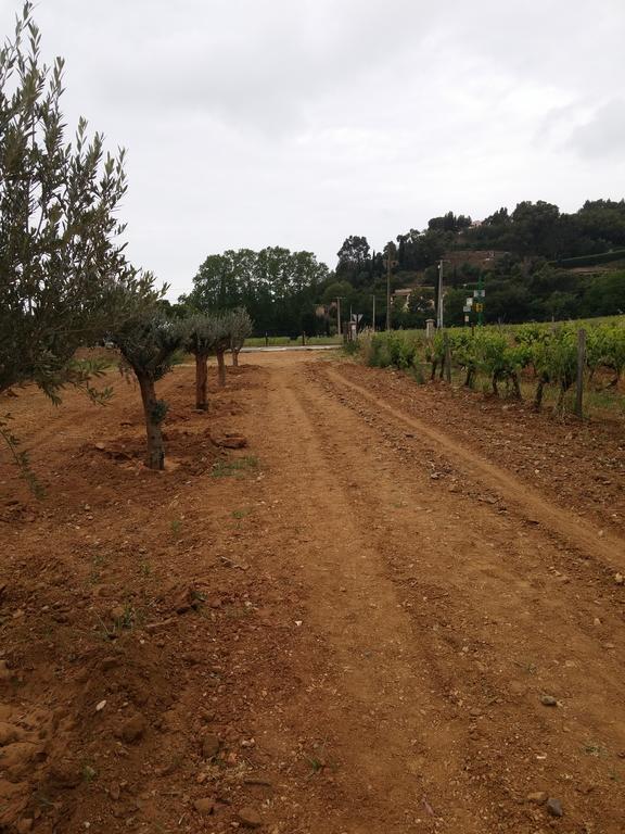 Gigaro Διαμέρισμα La Croix-Valmer Εξωτερικό φωτογραφία